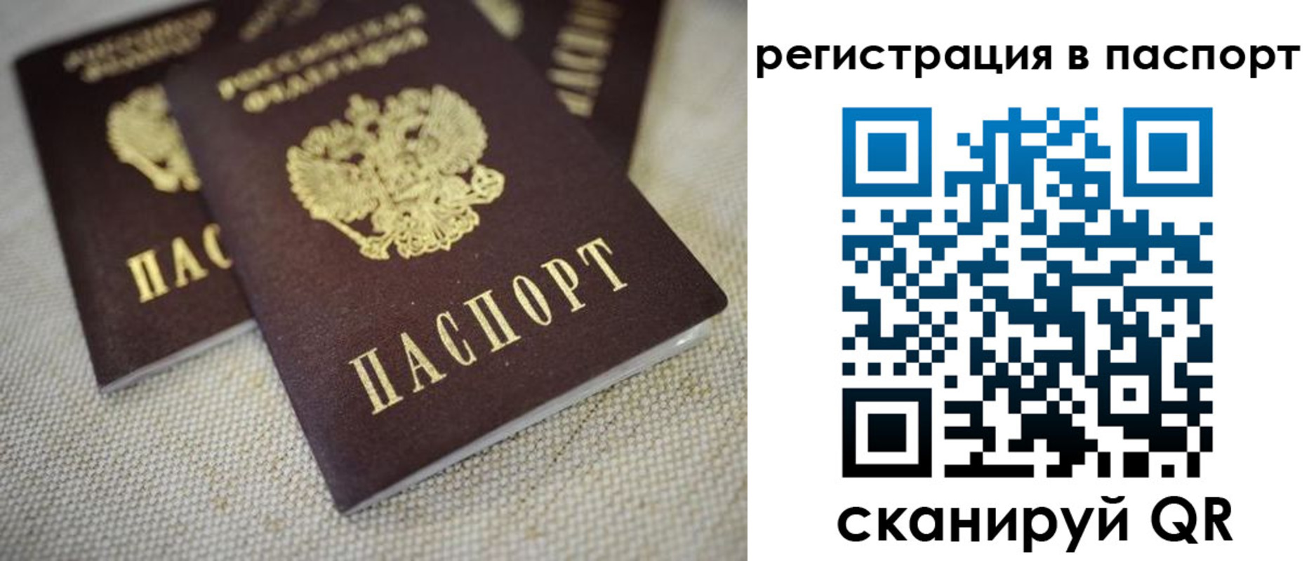 прописка гарантия в Ленинградской области